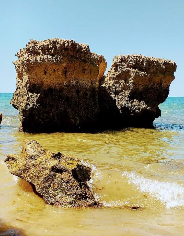 Vila Alegria ألغوز المظهر الخارجي الصورة
