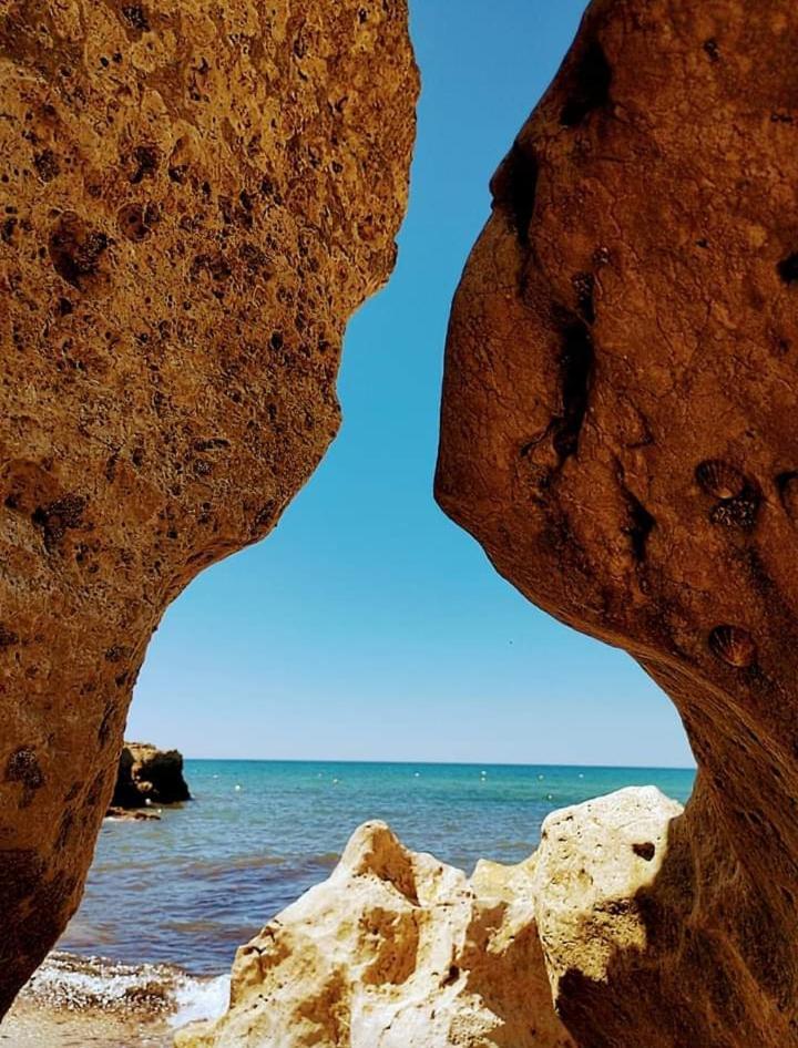 Vila Alegria ألغوز المظهر الخارجي الصورة